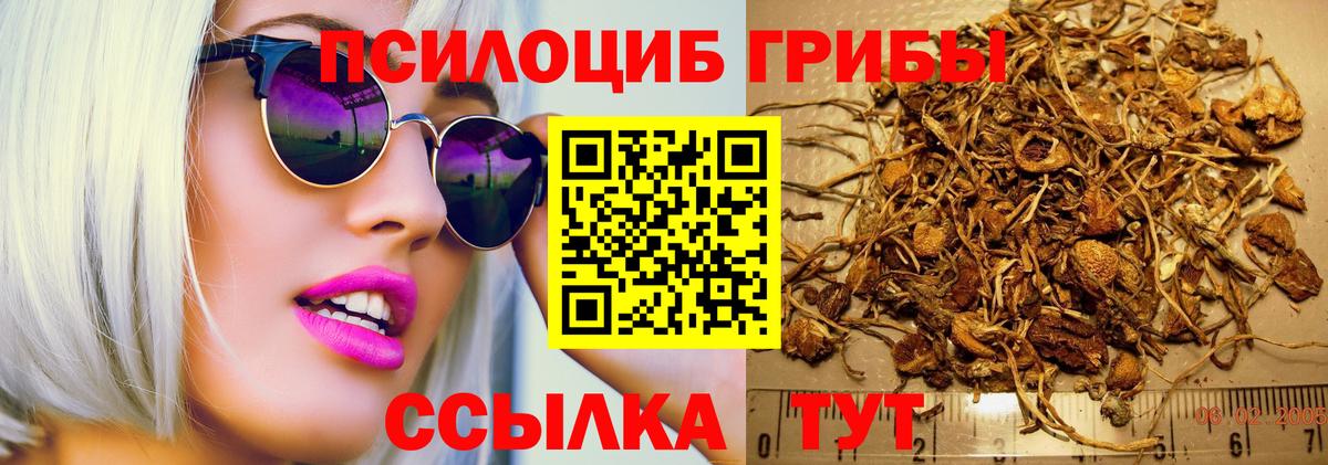 Кумертау  купить наркотики цена  Псилоцибиновые грибы мухоморы  Вход с VPN  Псилоцибиновые грибы мицелий 